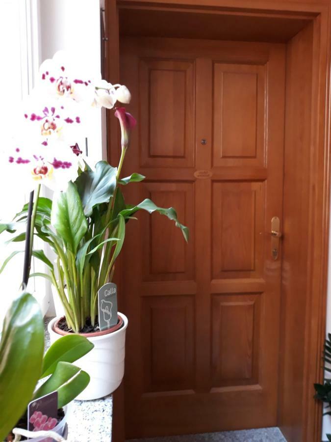 Maristela Apartment Rovinj Exterior photo