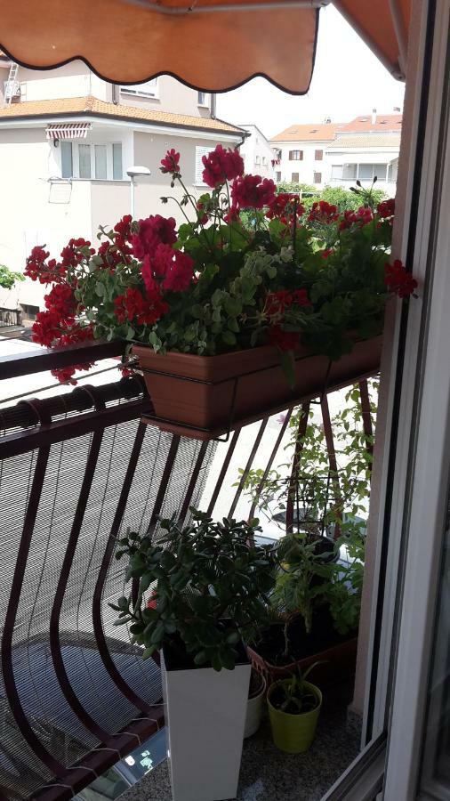 Maristela Apartment Rovinj Exterior photo